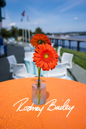 0061__6-21-25_Mark-Schramek-Kevin-Tarpey-wedding-HQO-events-DC-Rodney-Bailey-Photography
