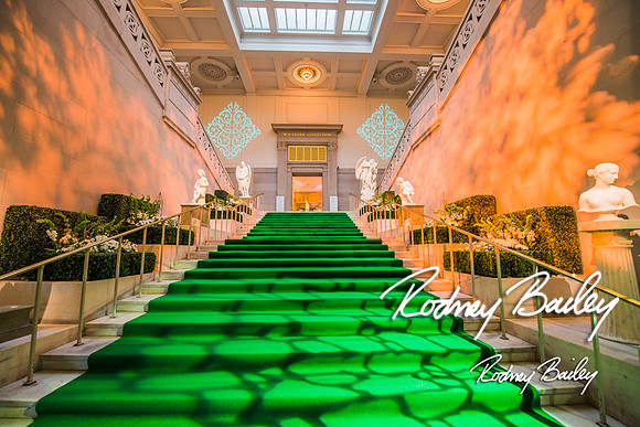 4-25-14 CORCORAN BALL DECOR_Rodney Bailey Photography_EventPhotojournalism_0677