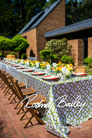 5-20-14 NACE MAY MEETING-GUNSTON HALL_Rodney Bailey Photography_0141