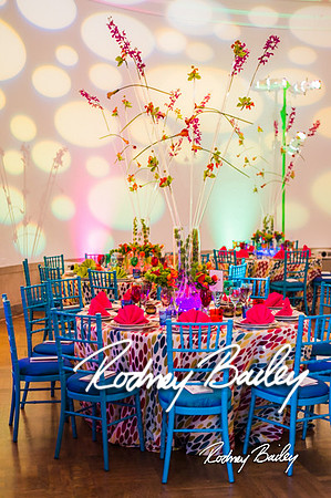 4-25-14 CORCORAN BALL DECOR_Rodney Bailey Photography_EventPhotojournalism_0486