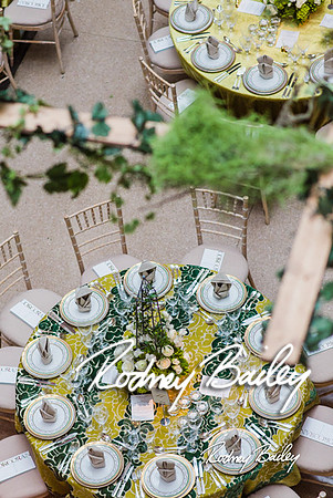 4-25-14 CORCORAN BALL DECOR_Rodney Bailey Photography_EventPhotojournalism_0479