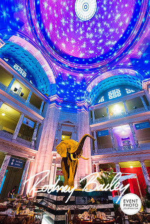 Host-Your-Event-at-the-Smithsonian-Washington-DC-event-photographers-Event-Photojournalism-photography__0101