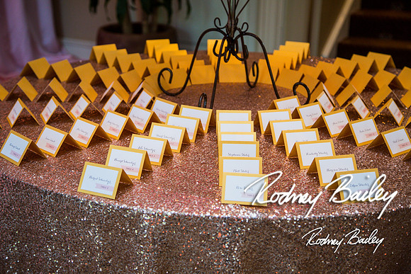 5-10-14_Mitzvah-Decor_Rodney Bailey_0002