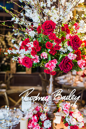 4-25-14 CORCORAN BALL DECOR_Rodney Bailey Photography_EventPhotojournalism_0191