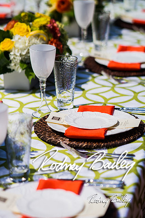 5-20-14 NACE MAY MEETING-GUNSTON HALL_Rodney Bailey Photography_0102