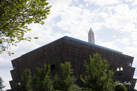 National-Museum-of-African-American-Museum-Washington-DC-event-photos-Rodney-Bailey-Photography__0005
