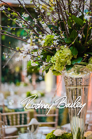 4-25-14 CORCORAN BALL DECOR_Rodney Bailey Photography_EventPhotojournalism_0323