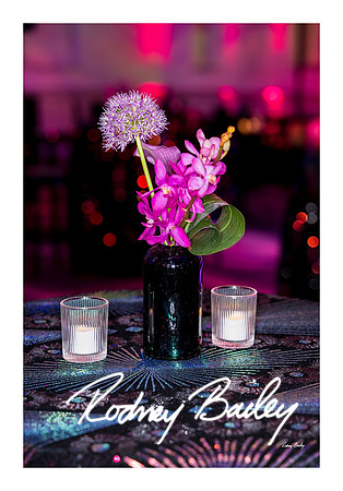 0784_1-11-25_Paul-50th-Birthday-Celebration-Renwick-Gallery-Washington-DC-Rodney-Bailey-Photography
