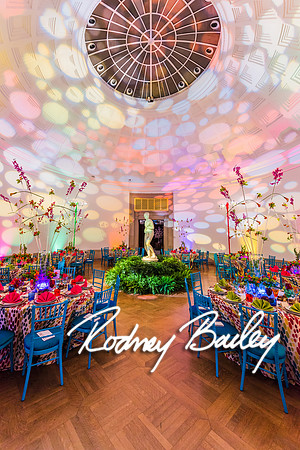 4-25-14 CORCORAN BALL DECOR_Rodney Bailey Photography_EventPhotojournalism_0629