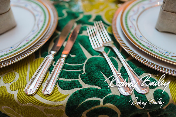 4-25-14 CORCORAN BALL DECOR_Rodney Bailey Photography_EventPhotojournalism_0687