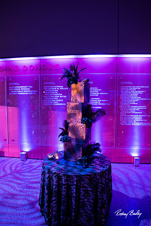 National-Museum-of-African-American-Museum-Washington-DC-event-photos-Rodney-Bailey-Photography__0263