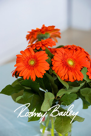 0083__6-21-25_Mark-Schramek-Kevin-Tarpey-wedding-HQO-events-DC-Rodney-Bailey-Photography