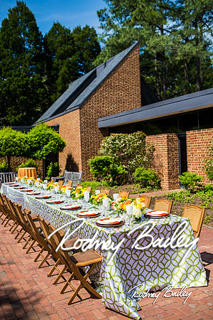 5-20-14 NACE MAY MEETING-GUNSTON HALL_Rodney Bailey Photography_0132