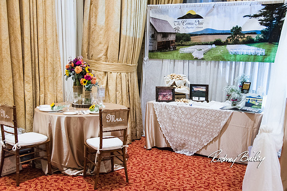 0034__3-1-15_Capital Bridal Affair and Fashion Show_The Mayflower Renaissance_Washington DC_Wedding Photography by Rodney Bailey