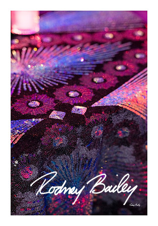 0726_1-11-25_Paul-50th-Birthday-Celebration-Renwick-Gallery-Washington-DC-Rodney-Bailey-Photography