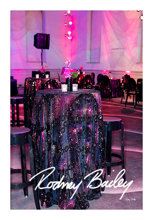 0788_1-11-25_Paul-50th-Birthday-Celebration-Renwick-Gallery-Washington-DC-Rodney-Bailey-Photography