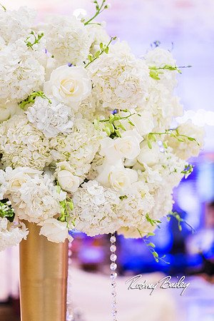 0224__3-1-15_Capital Bridal Affair and Fashion Show_The Mayflower Renaissance_Washington DC_Wedding Photography by Rodney Bailey