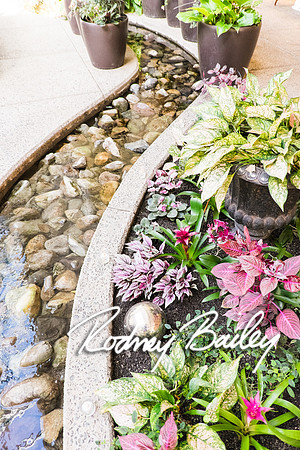 0082_10-26-14_The Atrium at Meadowlark Gardens Wedding_ Open House_Rodney Bailey Photography