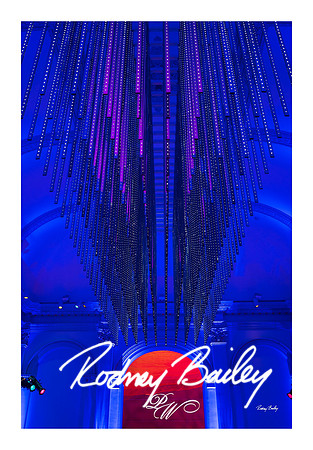 1009_1-11-25_Paul-50th-Birthday-Celebration-Renwick-Gallery-Washington-DC-Rodney-Bailey-Photography