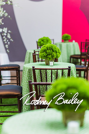 4-25-14 CORCORAN BALL DECOR_Rodney Bailey Photography_EventPhotojournalism_0482