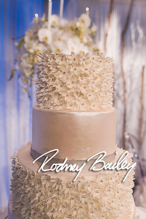 0016_How-to-select-choose-wedding-photographer-Washington-DC-Rodney-Bailey-Wedding-Photographer-DC