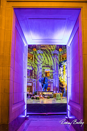Event-photographer-Washington-DC-Rodney-Bailey-Photography__0025