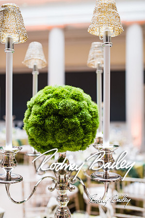 4-25-14 CORCORAN BALL DECOR_Rodney Bailey Photography_EventPhotojournalism_0028