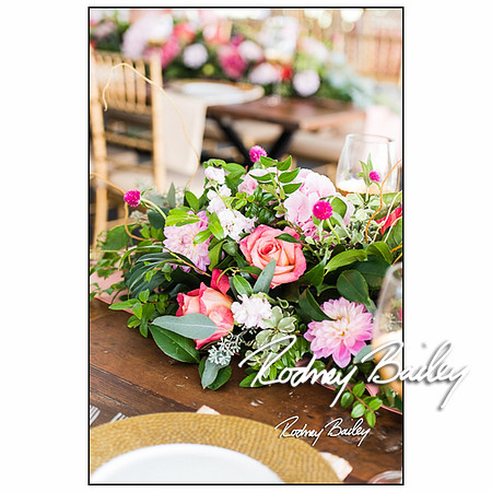Woodlawn-Estate-wedding-VA-Virginia-Photographers__0009