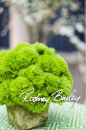 4-25-14 CORCORAN BALL DECOR_Rodney Bailey Photography_EventPhotojournalism_0104