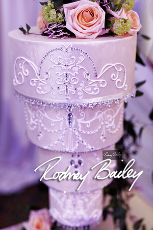 0147_3-1-15_ C a p i t a l   B r i d a l   A f f a i r  &  F a s h i o n   S h o w_Rodney Bailey Wedding Photography Washington DC_Mayflower Hotel DC