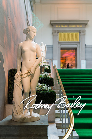 4-25-14 CORCORAN BALL DECOR_Rodney Bailey Photography_EventPhotojournalism_0034