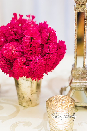 0412__3-1-15_Capital Bridal Affair and Fashion Show_The Mayflower Renaissance_Washington DC_Wedding Photography by Rodney Bailey