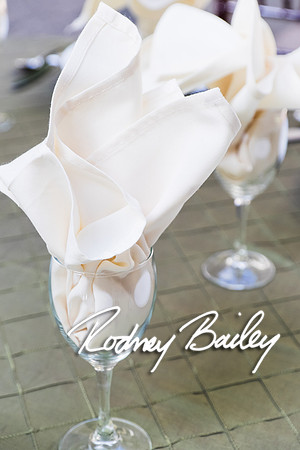 0046_10-26-14_The Atrium at Meadowlark Gardens Wedding_ Open House_Rodney Bailey Photography