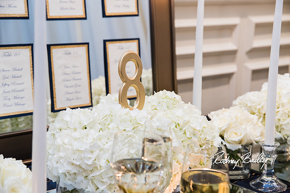 0475__3-1-15_Capital Bridal Affair and Fashion Show_The Mayflower Renaissance_Washington DC_Wedding Photography by Rodney Bailey