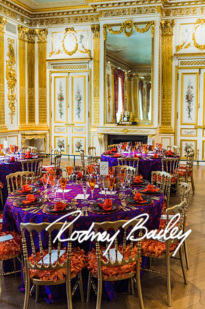 4-25-14 CORCORAN BALL DECOR_Rodney Bailey Photography_EventPhotojournalism_0156