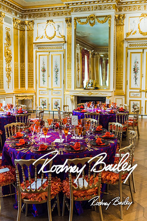 4-25-14 CORCORAN BALL DECOR_Rodney Bailey Photography_EventPhotojournalism_0156