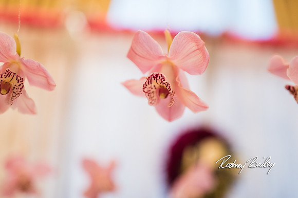0413__3-1-15_Capital Bridal Affair and Fashion Show_The Mayflower Renaissance_Washington DC_Wedding Photography by Rodney Bailey
