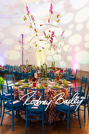 4-25-14 CORCORAN BALL DECOR_Rodney Bailey Photography_EventPhotojournalism_0048