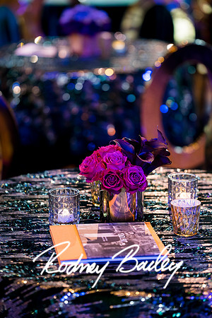 0117__8-2-25_Damien-Dwin-Celebration-National-Museum-of-African-American-Museum-Washington-DC-event-Rodney-Bailey-Photography