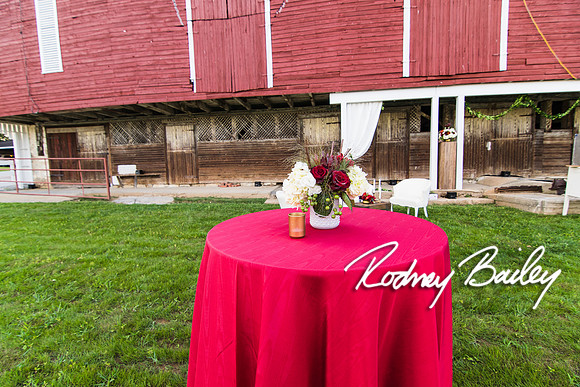 0046_9-12-14 Rockland Esates_Maryland Wedding Veue_Rodney Bailey Photography