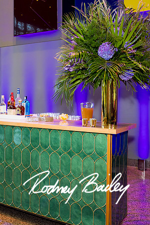 0021__8-2-25_Damien-Dwin-Celebration-National-Museum-of-African-American-Museum-Washington-DC-event-Rodney-Bailey-Photography