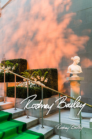 4-25-14 CORCORAN BALL DECOR_Rodney Bailey Photography_EventPhotojournalism_0033