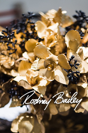 4-25-14 CORCORAN BALL DECOR_Rodney Bailey Photography_EventPhotojournalism_0099