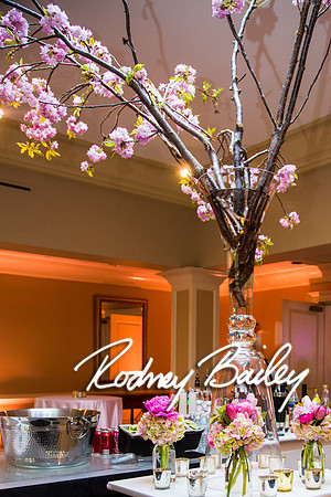 5-10-14_Mitzvah-Decor_Rodney Bailey_0045
