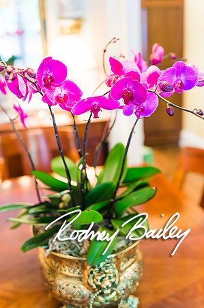0260__10-28-14 _Bergerons Flowers_Rodney Bailey Photography