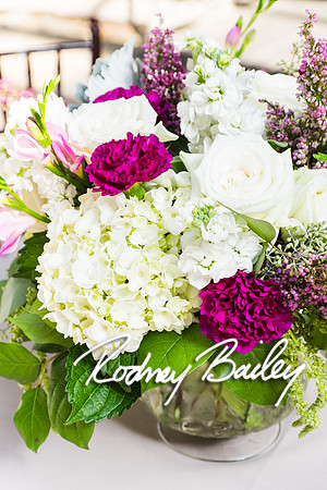 0035_10-26-14_The Atrium at Meadowlark Gardens Wedding_ Open House_Rodney Bailey Photography