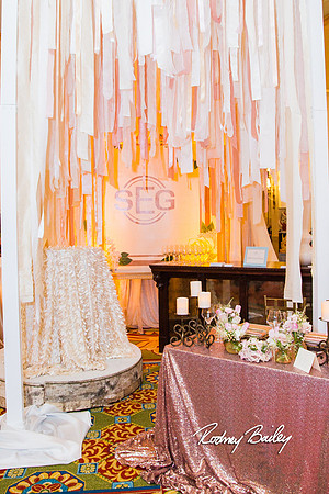 0375__3-1-15_Capital Bridal Affair and Fashion Show_The Mayflower Renaissance_Washington DC_Wedding Photography by Rodney Bailey