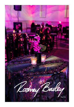 0833_1-11-25_Paul-50th-Birthday-Celebration-Renwick-Gallery-Washington-DC-Rodney-Bailey-Photography