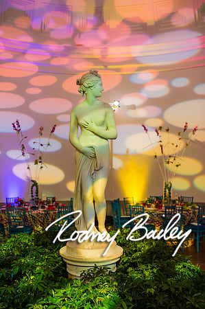 4-25-14 CORCORAN BALL DECOR_Rodney Bailey Photography_EventPhotojournalism_0046