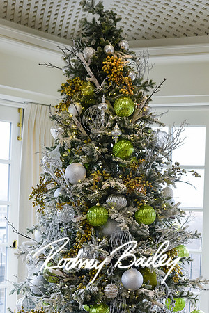 0026__12-11-22_Tishman-Speyer-Holiday-Brunch-Hay-Adams-Hotel-DC-Washington-DC-EventPhotojournalism-event-photographers